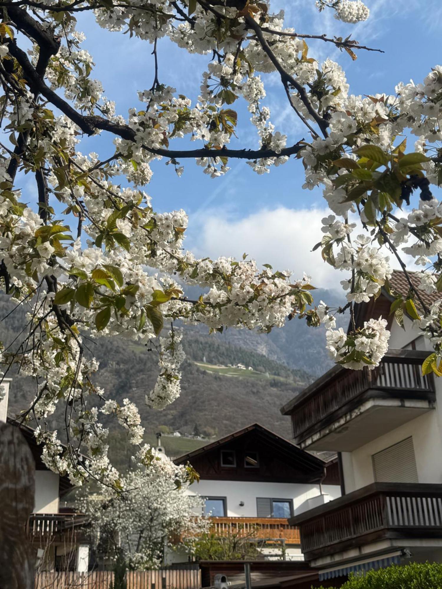 Ferienwohnung Im Zentrum Naturns Buitenkant foto